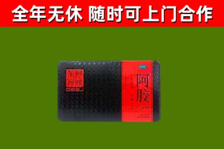 邕宁回收阿胶