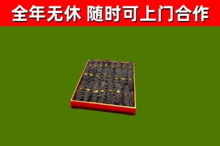 邕宁回收海参
